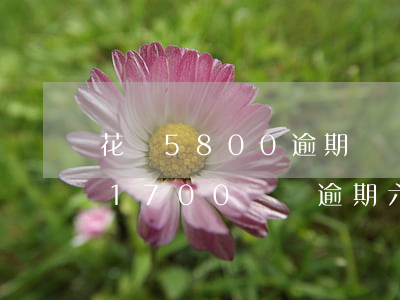 花唄5800逾期兩個(gè)月(花唄逾期1700塊錢逾期六個(gè)月會被起訴嗎)