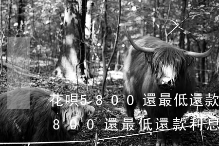 花唄5800還最低還款利息多少-花唄5800還最低還款利息多少錢