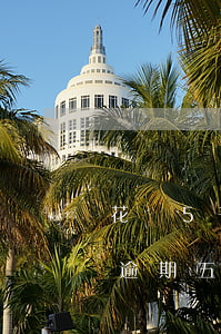 花唄5千塊錢5個月利息多少（花唄五千塊錢逾期五天有多少利息）