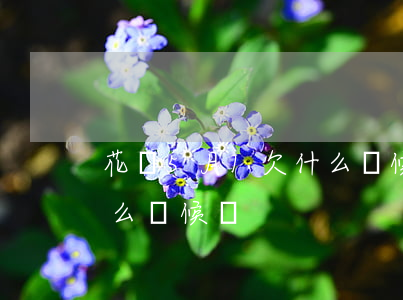 花唄5月1欠什么時候還(五月底用的花唄什么時候還)