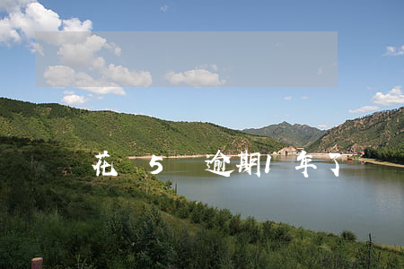 花唄5萬逾期1年了