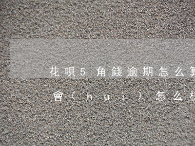 花唄5角錢逾期怎么算(支付寶花唄逾期五百會(huì)怎么樣)