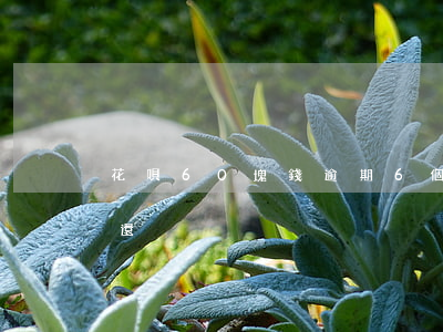 花唄60塊錢逾期6個月(花唄超過60天沒還)