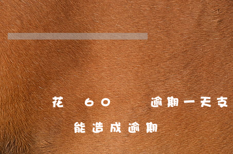 花唄60塊錢逾期一天(支付寶花唄欠幾百塊錢能造成逾期嗎?)