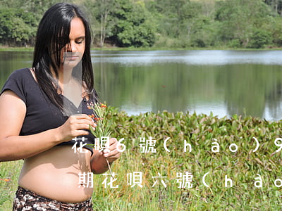 花唄6號(hào)9號(hào)還款逾期 花唄六號(hào)還款也算當(dāng)月還款嗎