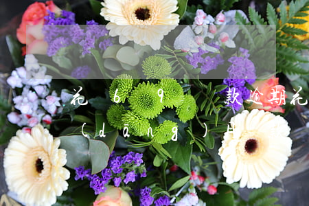 花唄6號9號還款逾期 花唄六號還款也算當(dāng)月還款嗎