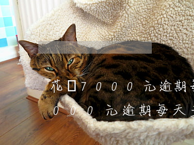 花唄7000元逾期每天多少利息-花唄7000元逾期每天多少利息啊