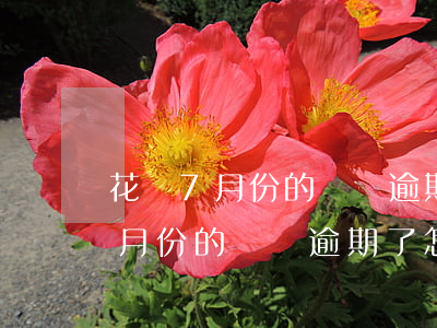 花唄7月份的賬單逾期了怎么還款-花唄7月份的賬單逾期了怎么還款呢