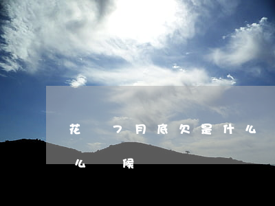 花唄7月底欠是什么時候還(七月底用花唄什么時候還)