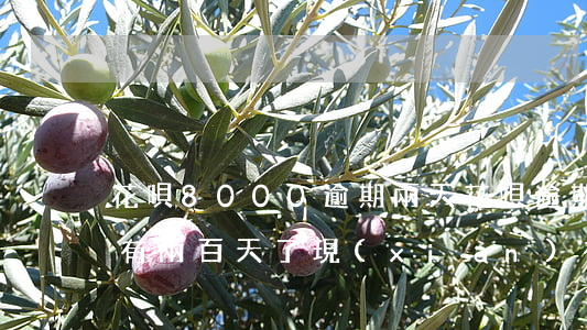 花唄8000逾期兩天(花唄逾期5000元有兩百天了現(xiàn)在要還多少)