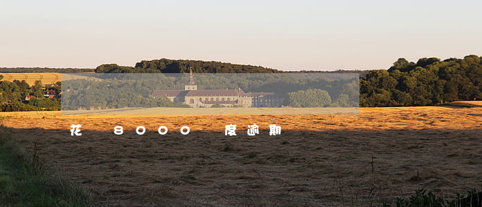花唄8000額度逾期