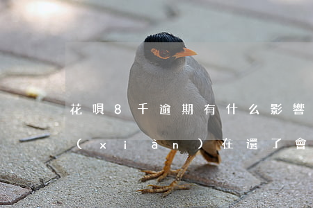 花唄8千逾期有什么影響(花唄逾期了8天,現(xiàn)在還了,會影響征信嗎)