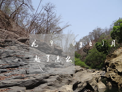 花唄9個(gè)月沒還了怎么辦（花唄還不起了怎么辦）