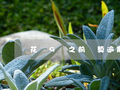 花唄9號之前換算逾期嗎