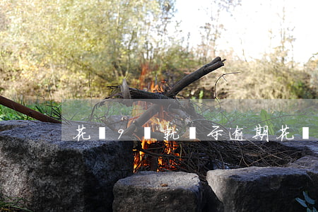 花唄9號就顯示逾期(花唄預(yù)期9天)