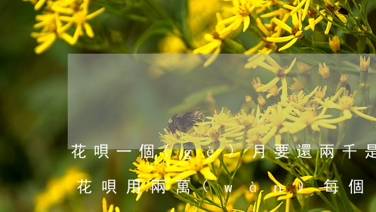 花唄一個(gè)月要還兩千是欠了多少錢(花唄用兩萬(wàn),每個(gè)月還多少)