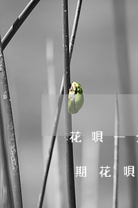 花唄一分錢會(huì)不會(huì)逾期(花唄一分錢會(huì)不會(huì)逾期)