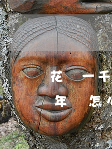 花唄一千塊錢逾期半年(花唄欠幾百塊逾期半年會怎么樣)