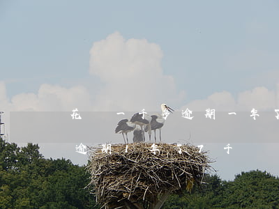 花唄一千多逾期一年了上不上征信-我花唄逾期1年了7千塊,會(huì)不會(huì)被起訴