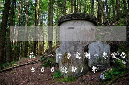 花唄一千多逾期一年宣告提前到期-花唄1500逾期1年