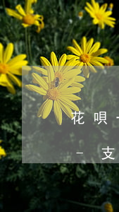 花唄一千逾期了兩個(gè)月能坐高鐵嗎-支付寶花唄逾期兩年1000多能坐飛機(jī)高鐵嗎
