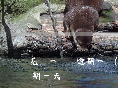 花唄一塊錢逾期一個(gè)月(小鵝花錢逾期一天)