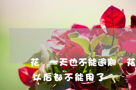 花唄一天也不能逾期嗎(花唄逾期三天是不是以后都不能用了?)