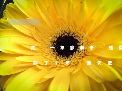 花唄一年逾期未處理需要怎么還款-花唄逾期了1年還清欠款,過(guò)了1年怎么還沒(méi)有灰復(fù)