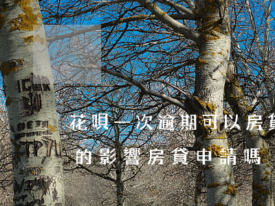 花唄一次逾期可以房貸嗎(花唄逾期兩次小額的,影響房貸申請嗎)