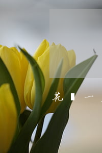 花唄一直只還最低還款額會怎樣-