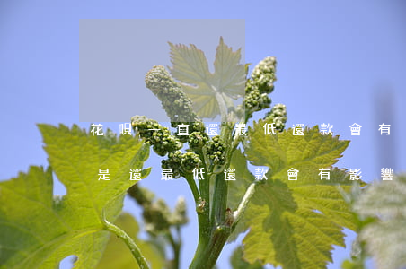 花唄一直還最低還款會有什么反應-花唄總是還最低還款會有影響嗎