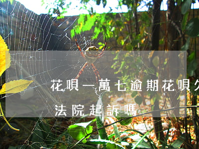 花唄一萬七逾期(花唄欠款1萬多逾期2年會法院起訴嗎)