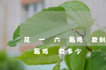 花唄一萬六還最低還款利息多少-1萬6花唄最低還款多少