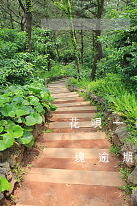 花唄一萬塊錢逾期一年會被起訴嗎(花唄幾百塊逾期多少天會起訴,我已經(jīng)還了2000多)