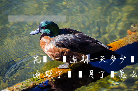 花唄一萬逾期一天多少錢(花唄逾期兩千塊錢 逾期了幾個月了會怎么樣)