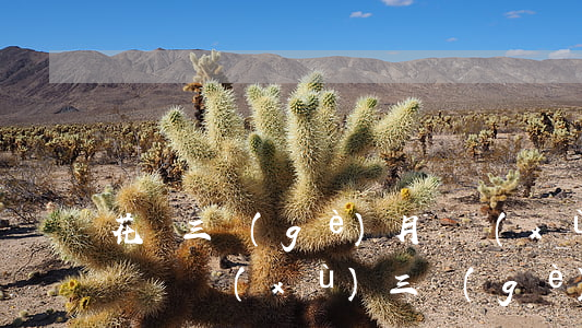 花唄三個(gè)月連續(xù)逾期-花唄連續(xù)三個(gè)月都逾期還款,影響征信嗎