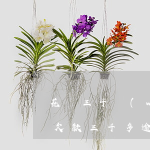 花唄三千網(wǎng)商貸兩千逾期(花唄欠款三千多,逾期三個(gè)月,算嚴(yán)重嗎?)