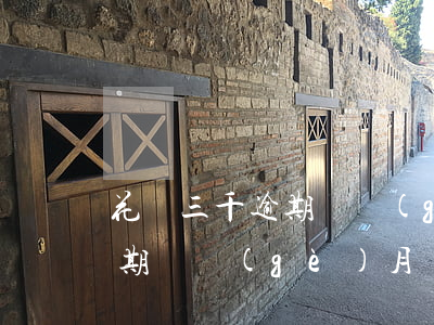 花唄三千逾期幾個(gè)月了(花唄三千逾期兩個(gè)月會(huì)怎么樣)