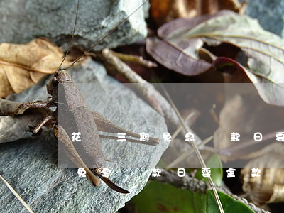 花唄三期免息還款日要全款還嗎-花唄三期免息還款日要全款還嗎