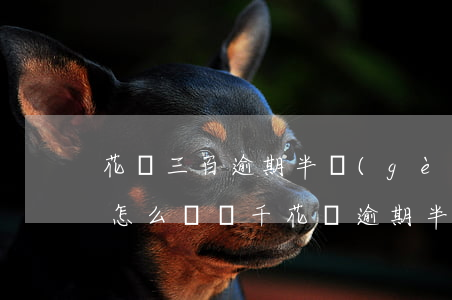 花唄三百逾期半個(gè)月會(huì)怎么樣(兩千花唄逾期半年會(huì)怎么樣)