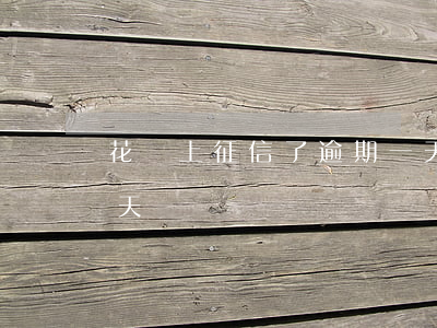 花唄上征信了逾期一天(花唄上征信了逾期一天)