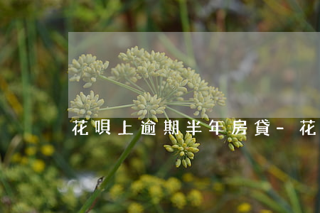 花唄上逾期半年房貸-花唄上逾期半年房貸