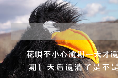 花唄不小心逾期一天才還會影響嗎-花唄逾期1天后還清了是不是就沒事了