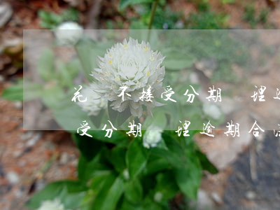 花唄不接受分期處理逾期合法嗎-花唄不接受分期處理逾期合法嗎怎么辦