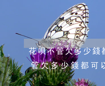 花唄不管欠多少錢都可以分期還嗎-花唄不管欠多少錢都可以分期還嗎