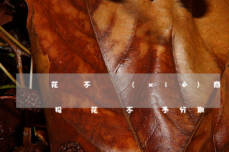 花唄不給協(xié)商分期怎么投訴，如何投訴花唄不給予分期協(xié)商？