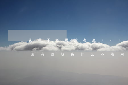 花唄不給用說有產(chǎn)品逾期(花唄沒有逾期為什么不能用?3個(gè)原因造成的)