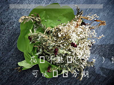 花唄不能個(gè)性化分期(花唄為什么不可以賬單分期)