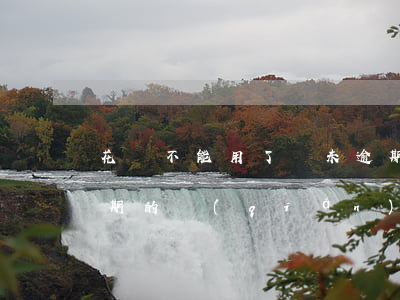 花唄不能用了從未逾期(花唄不能用了從未逾期的錢(qián))