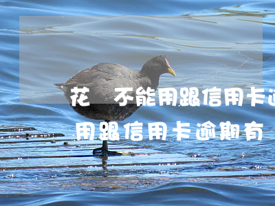 花唄不能用跟信用卡逾期有關嗎-花唄不能用跟信用卡逾期有關嗎怎么辦
